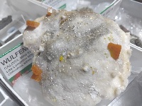 Mineral 4 - MineralExpo 2026